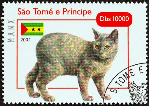 En sköldpaddsmanx på ett frimärke