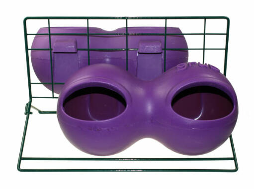Tränkeständer mit violettem glug und grug-futter und tränke angebracht