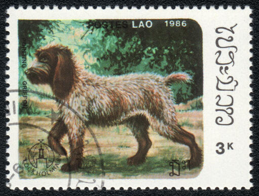 Eine korthals-greiferbriefmarke aus laos