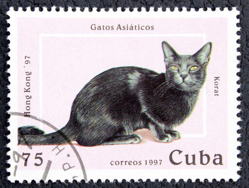 Eine briefmarke aus kuba mit einer korat-katze als aufdruck