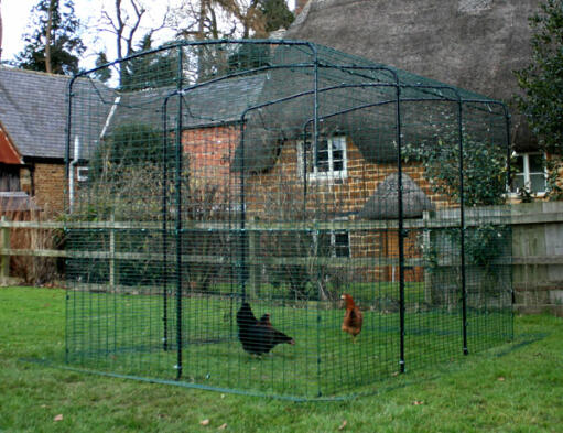 En hønsegård i haven med to høns i den