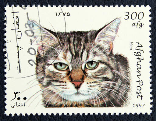 Tabby manx-katt på frimärke