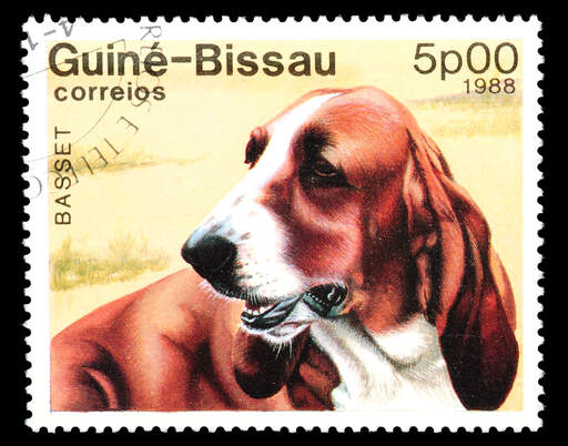 A Basset Hound on a West African stamp
