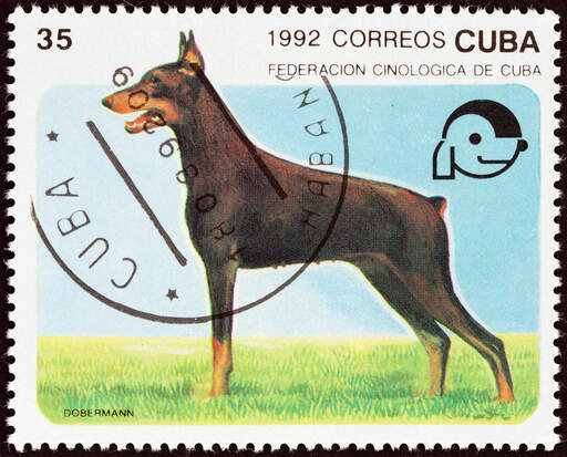 En doberman pinscher på ett kubanskt frimärke