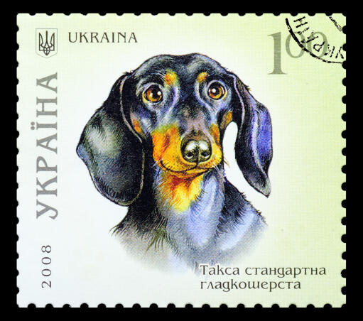 En tax på ett ukrainskt frimärke