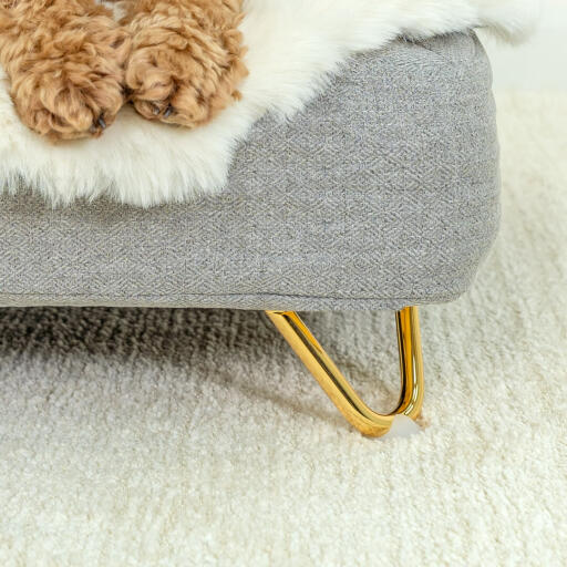 Close-up van hond zittend op Omlet Topology hondenbed met schapenvacht topper en Gold haarspeld voeten