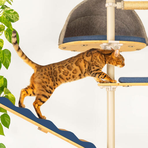 You can choose from a wide variety of attachments for the Freestyle Cat Tree.