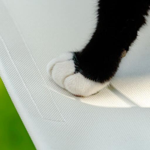 Primer plano de la pata en Omlet estantería blanca para gatos al aire libre
