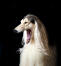 En GorGeous afghan hound som visar upp sin enorma mun