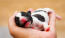 En underbar fransk bulldoggvalp som ligger på sin ägares hand