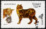 Briefmarke aus dem staat oman mit einer manx-katze darauf