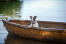 En härlig, liten jack russell terrier som slappnar av i en båt efter att ha badat