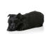 A GorGeous, petit chiot scottish terrier noir reposant sur le sol