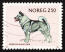 Un chien d'élan norvégien sur un timbre norvégien