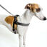 Cloud7 Luxury Leather Dog Harness Central Park Black
