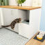 Chat sautant sur Maya litière pour chat à entrée par le haut