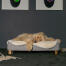 Hund liegt auf Omlet Topology hundebett mit schafsfell topper und Gold rail feet