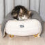 Kat slapend op Omlet Maya kattenbed in Snowbol wit met Gold haarspeldpootjes en Omlet Lux urious kattendeken