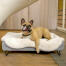 Dog Laying on Omlet Topology Dog Bed with Sheepskin Topper and Round Wooden Feet