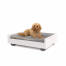 Ein kleiner brauner hund auf einem grau-weißen Omlet schlafsofa
