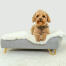 Hond zittend op Omlet Topology hondenbed met schapenvacht topper en Gold haarspeld voetjes