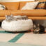 Katzen ruhen auf dem Luxurious soft donut katzenbett in Snowball weißer farbe mit schwarzen metall-haarnadel-designerfüßen