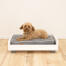 Un petit chien marron sur un lit gris Omlet avec un support