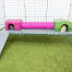 Omlet Zippi cavia box met Zippi platformen, paarse en groene Zippi schuilhokken verbonden met een Zippi speeltunnel