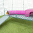 Cavia in roze cavia speeltunnel bevestigd aan roze Zippi cavia schuilplaats op Zippi platforms