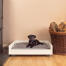 Un piccolo cucciolo nero su un divano letto grigio e bianco