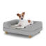 Dog Sitting on a small Topology Dog Bed with Grey Bolster Topper and Wooden Round Feet
