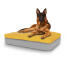 Chien assis sur un grand lit pour chien en mousse à mémoire de forme Topology avec un coussin à fèves