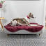 Ein Windhund ruht sich auf dem Topology Hundebett mit Memoryschaum aus