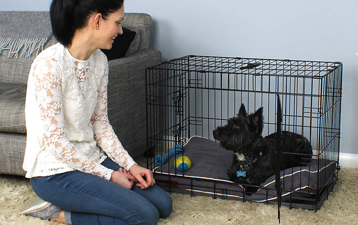 La cage transportable Omlet Fido Classic est parfaite pour l'éducation de votre chien