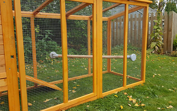 Every chicken coop can be improved with a chicken roost.