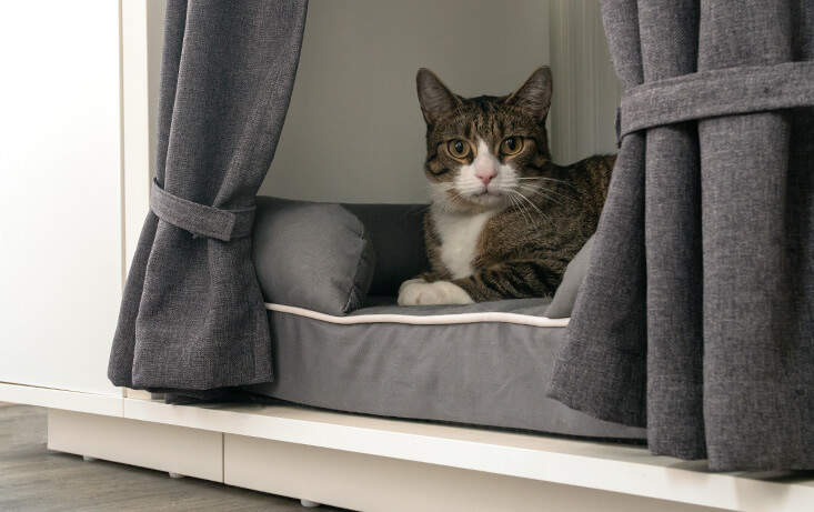 Colocando la cama de tu gato en un lugar elevado como el Maya Nook lo protegerá de las corrientes de aire y otras perturbaciones