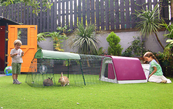 With a Eglu Go hutch, you and your rabbits can spend time together in the garden.