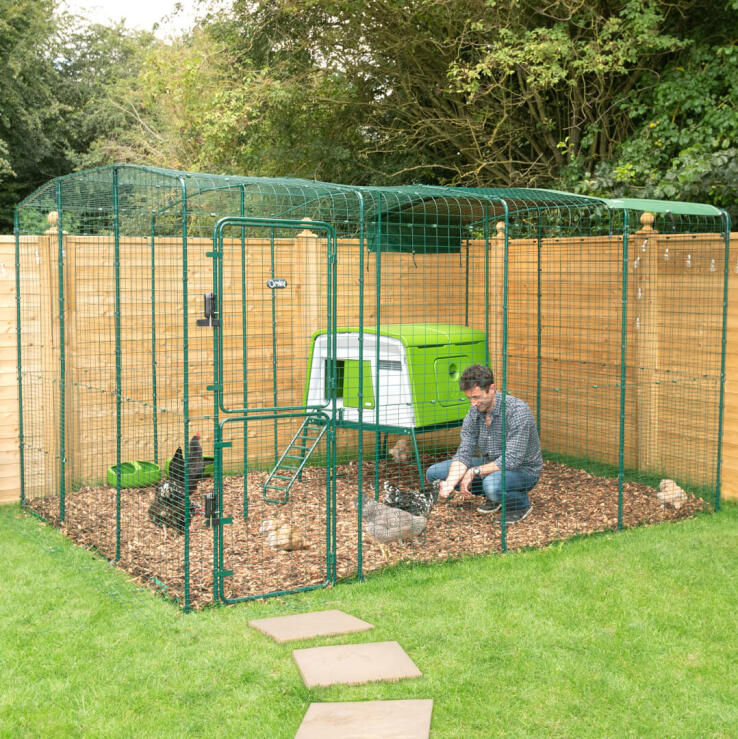 Man and chickens in Omlet Walk in Chicken Run with Omlet Green Eglu Cube Large Chicken Coop