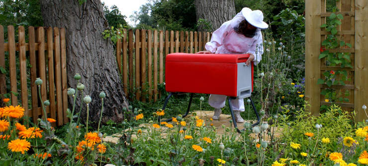 A red BeeHaus beehive in a garden with lots of flower
