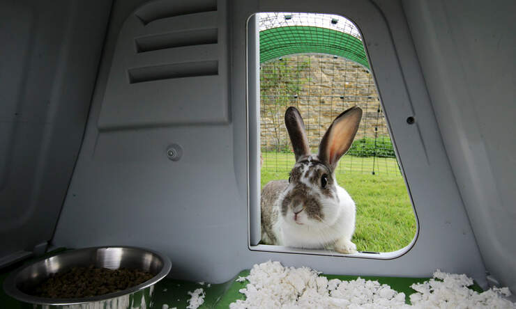 La conejera Eglu Go tiene un espacio acogedor donde tus conejos pueden alimentarse y dormir