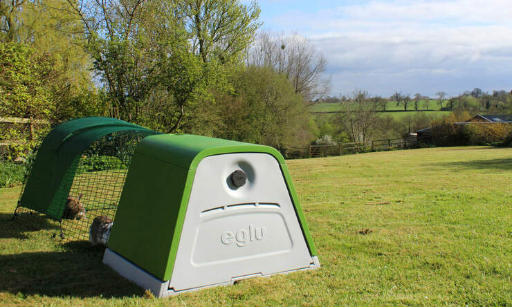 Rabbits love to enjoy the outdoors in the Eglu Go hutch