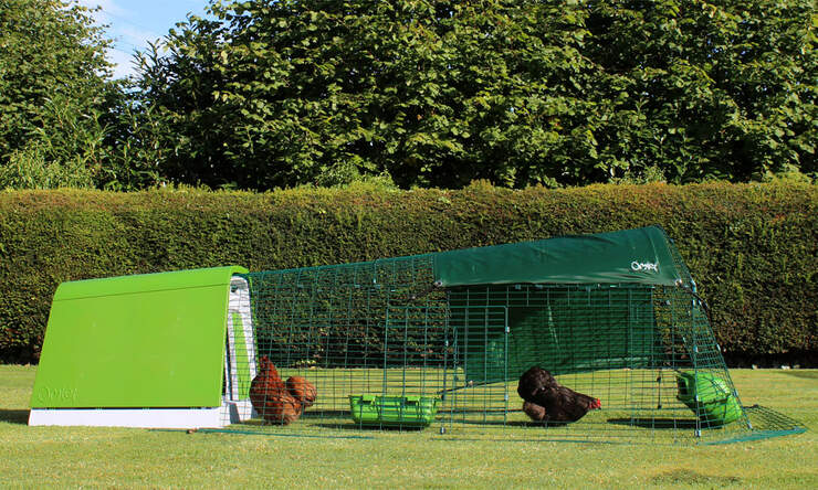 The Eglu Go is a modern chicken coop design that is really practical for backyard chicken keeping