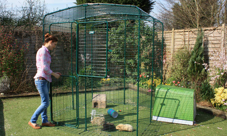The two-piece enclosure door allows you to easily pet your guinea pigs or provide them with treats without them escaping.