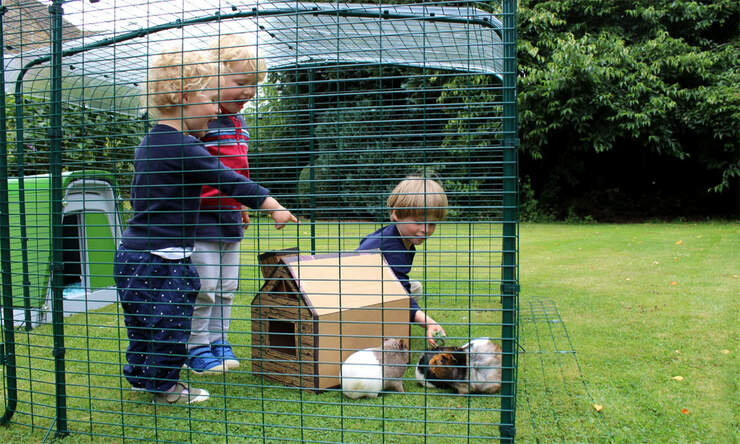 The low enclosure is high enough for small children to stand upright in.