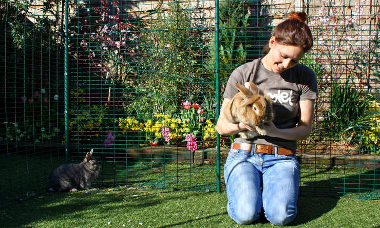 An outdoor rabbit run provides your pet bunnies with lots of safe outdoor exercise space.