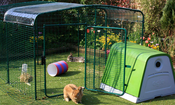 Der erhöhte kaninchenstall bietet viel platz für ihre kaninchen und sie werden es lieben, zugang zu frischem gras zu haben.