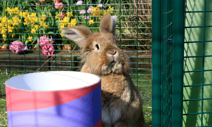 El recinto exterior es adecuado para todas las razas y tamaños de conejos