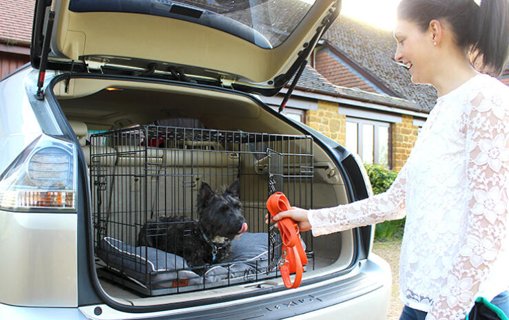 Uw honden worden graag omringd door vertrouwde dingen in de auto.