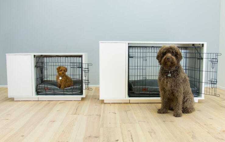The Omlet Fido Nook is available in two sizes so you can choose the one that fits your puppy perfectly