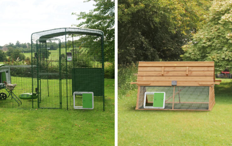 an autodoor attached to two different chicken coops with mesh including a walk in run
